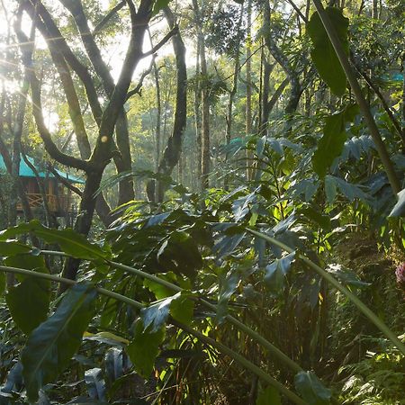 Dream Catcher Resort Munnar Εξωτερικό φωτογραφία