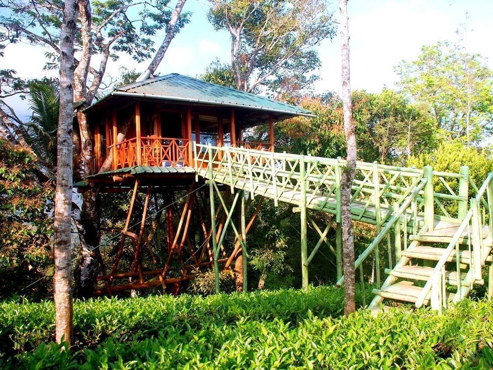Dream Catcher Resort Munnar Εξωτερικό φωτογραφία