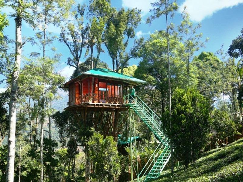 Dream Catcher Resort Munnar Εξωτερικό φωτογραφία