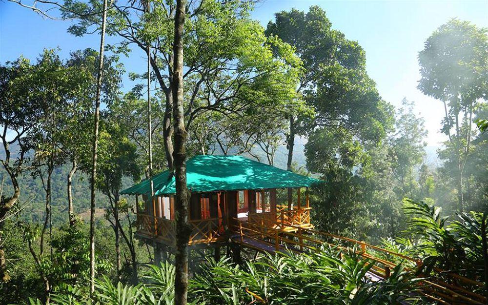 Dream Catcher Resort Munnar Εξωτερικό φωτογραφία