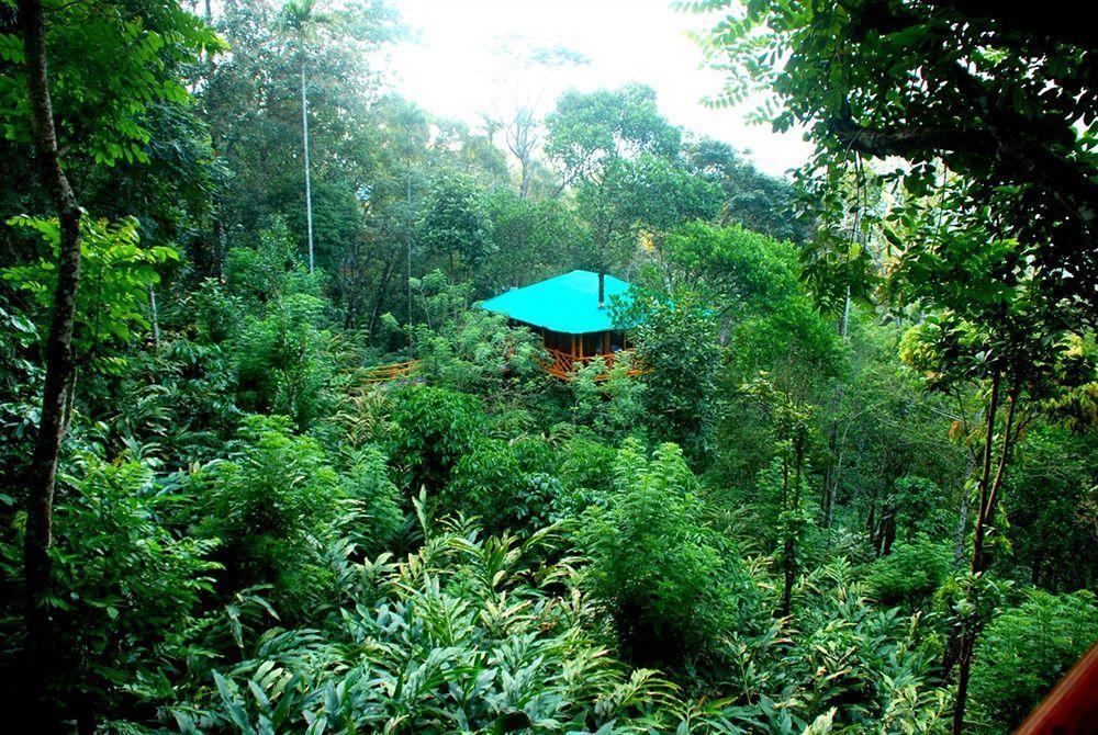 Dream Catcher Resort Munnar Εξωτερικό φωτογραφία