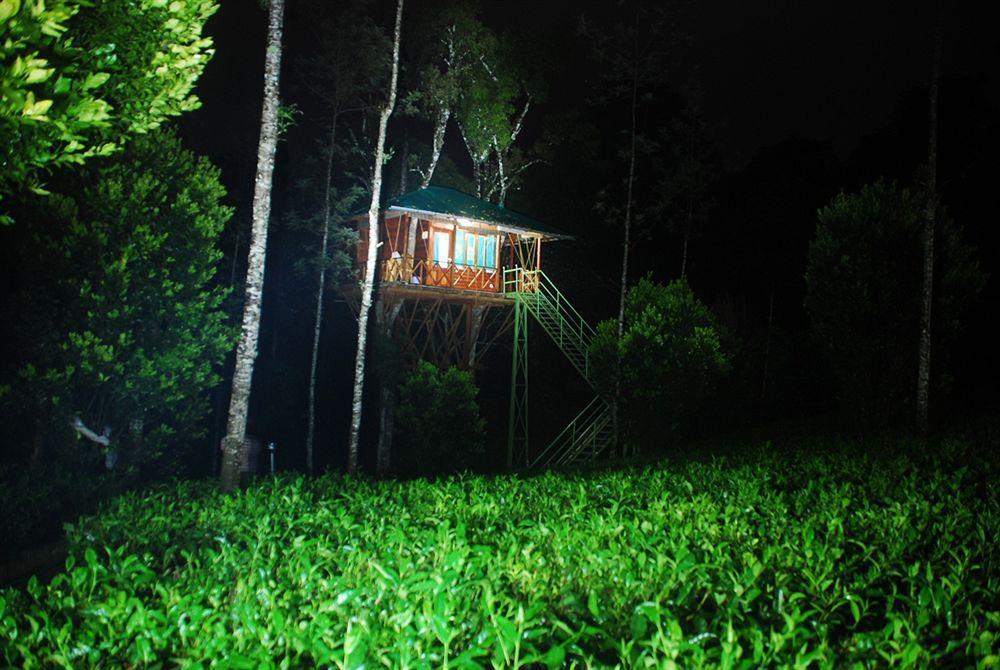 Dream Catcher Resort Munnar Εξωτερικό φωτογραφία