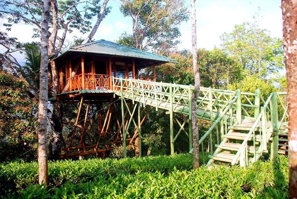 Dream Catcher Resort Munnar Εξωτερικό φωτογραφία