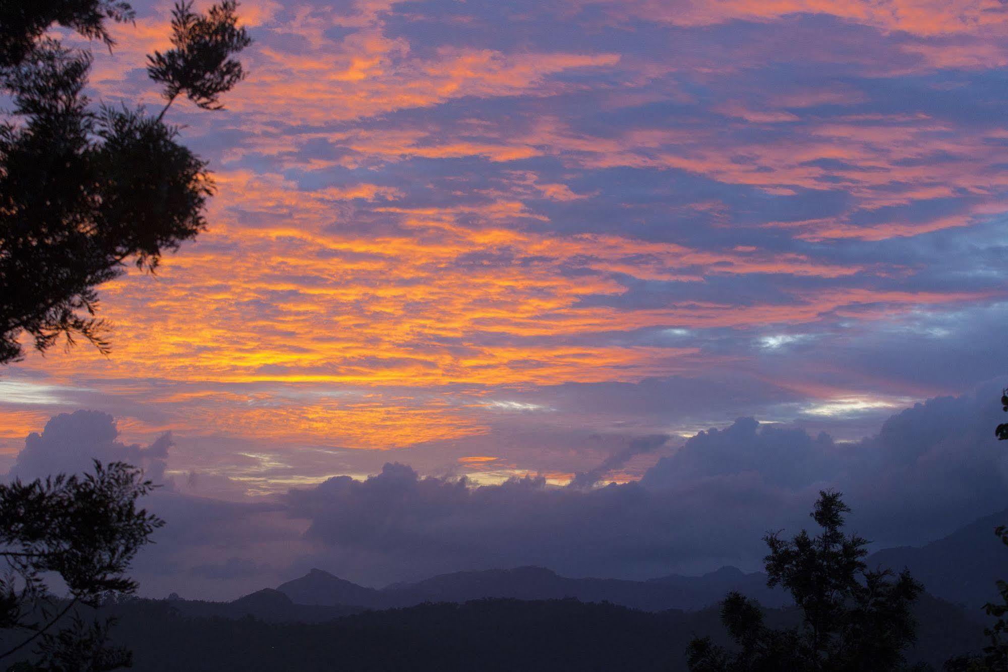 Dream Catcher Resort Munnar Εξωτερικό φωτογραφία