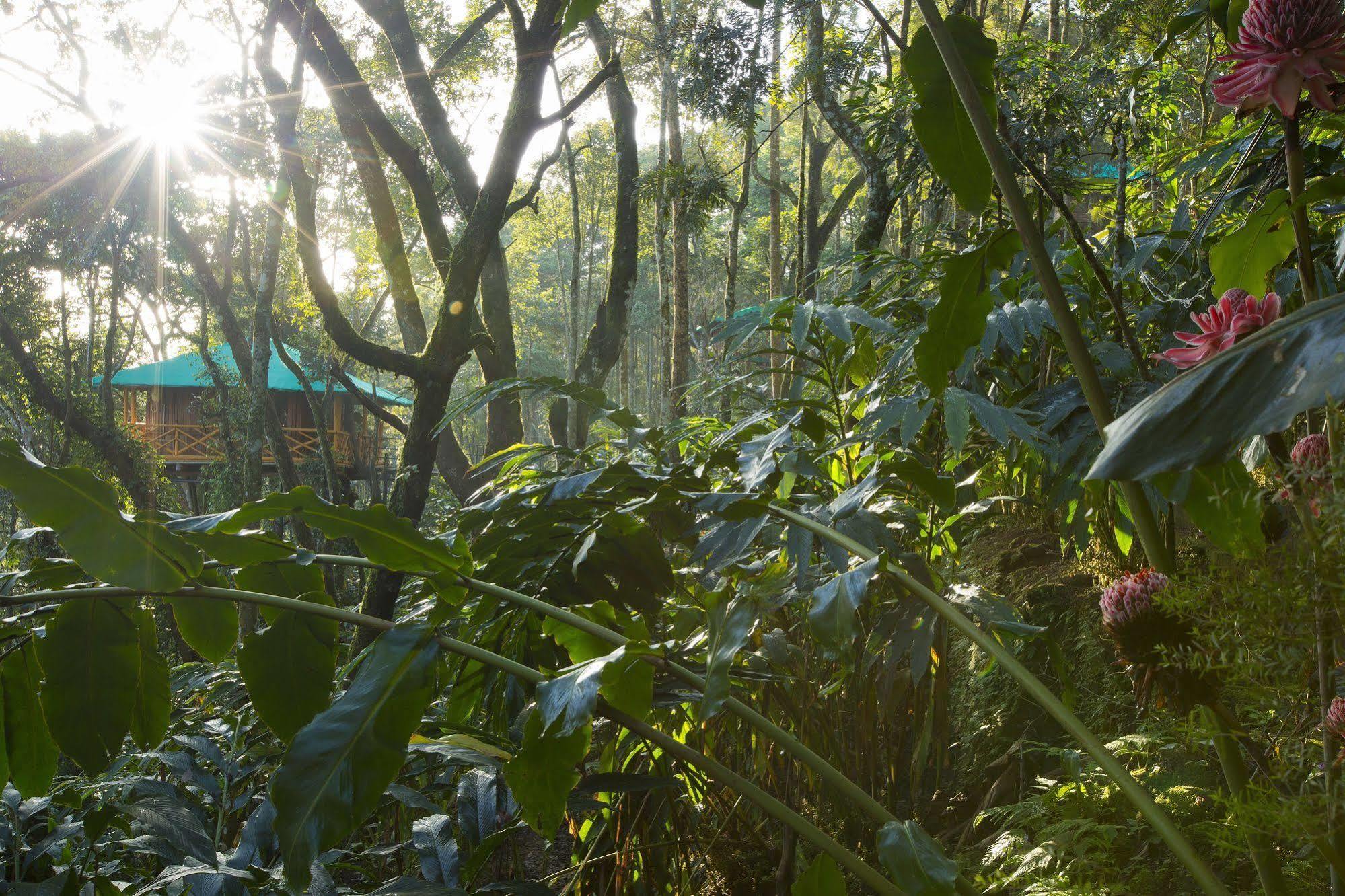 Dream Catcher Resort Munnar Εξωτερικό φωτογραφία