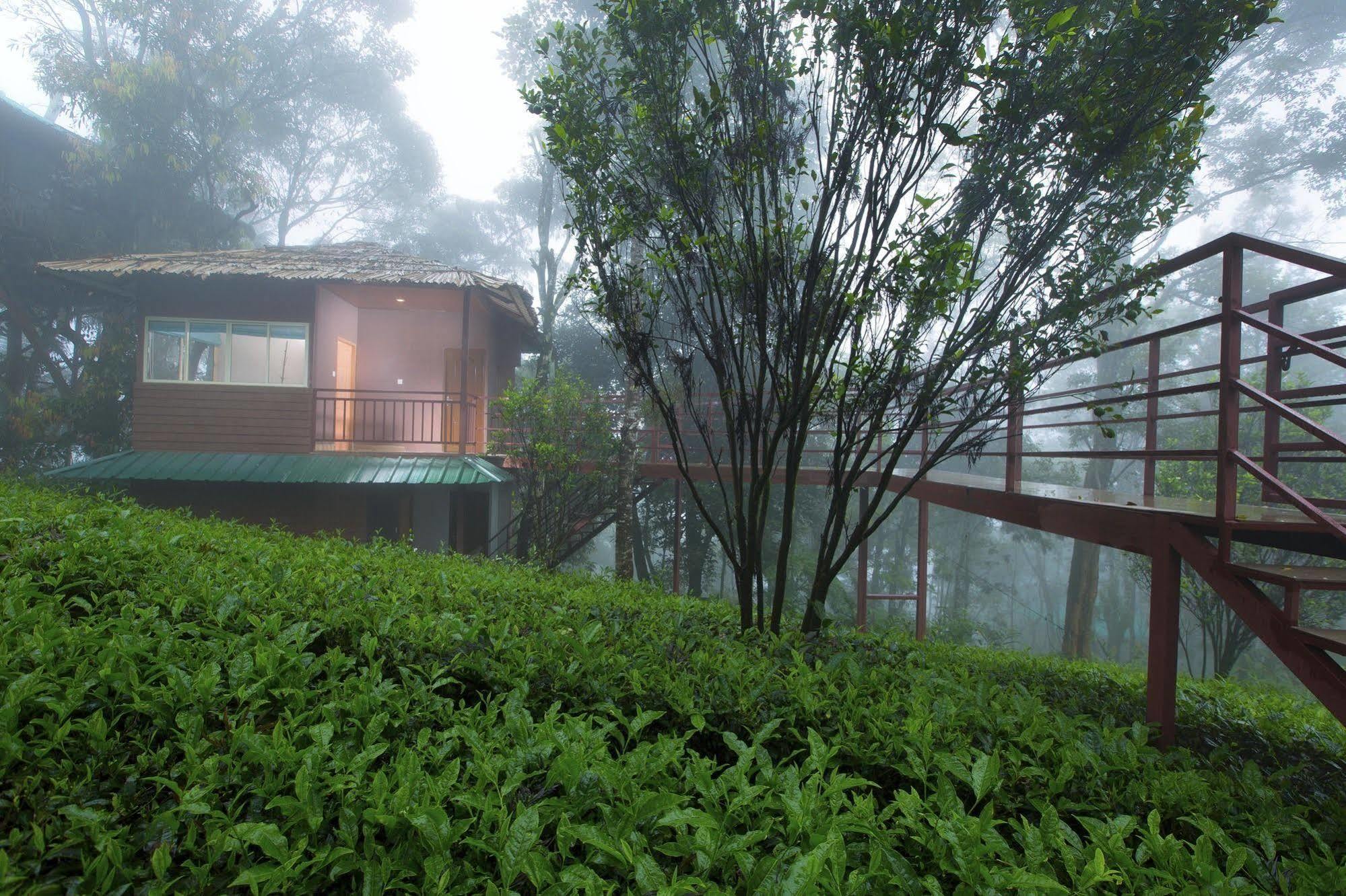 Dream Catcher Resort Munnar Εξωτερικό φωτογραφία